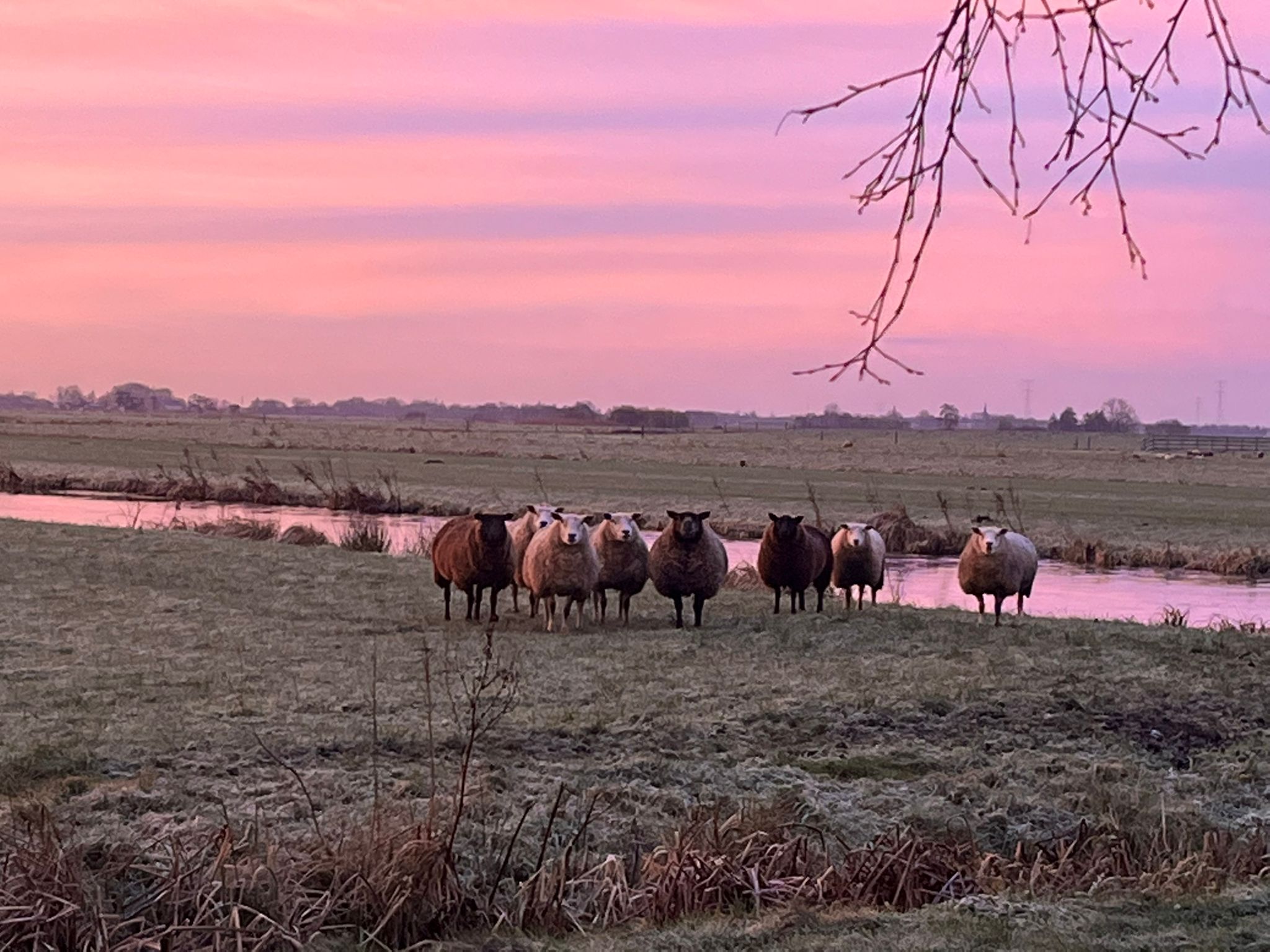 achteruitzicht Beijersche Stee